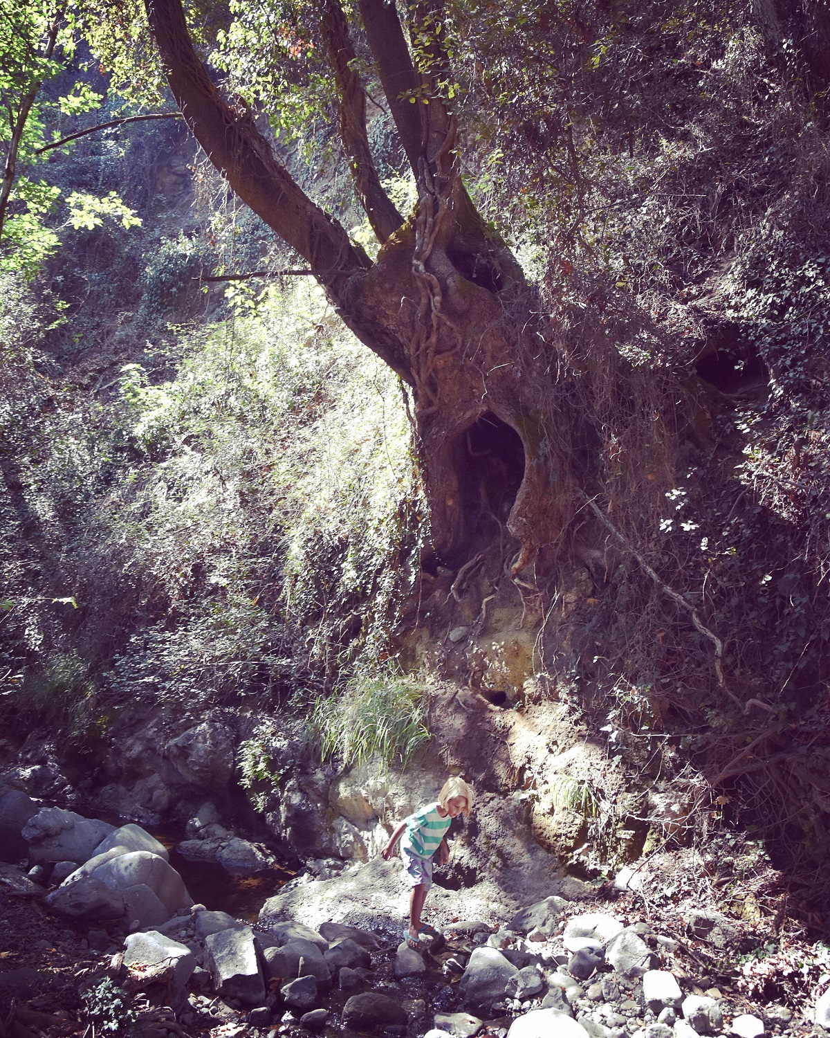 Myllomeris Waterfall and Nature Trail