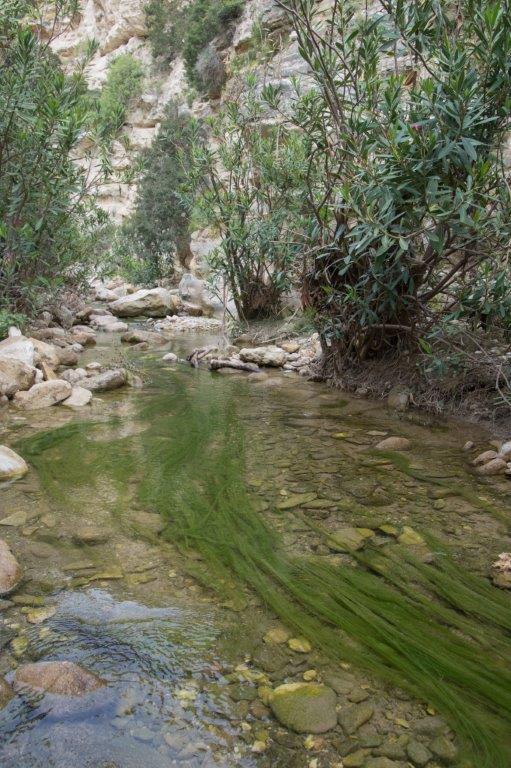 Avakas Gorge Nature Trail