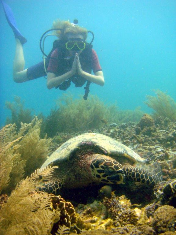 Diving Indonesia