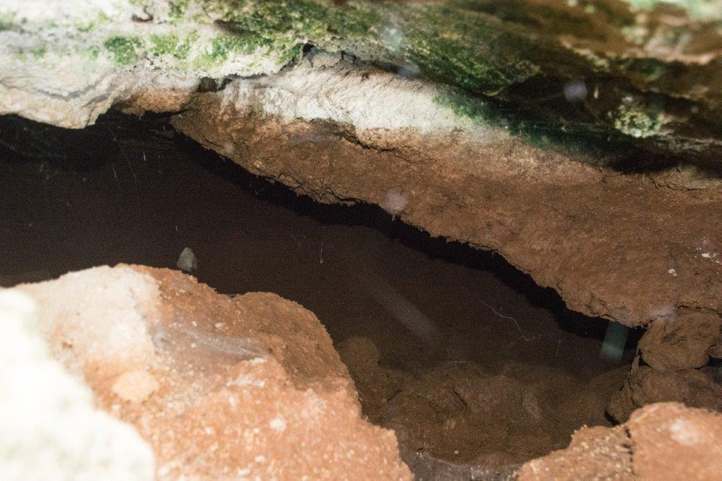 Cyclops cave Cyprus