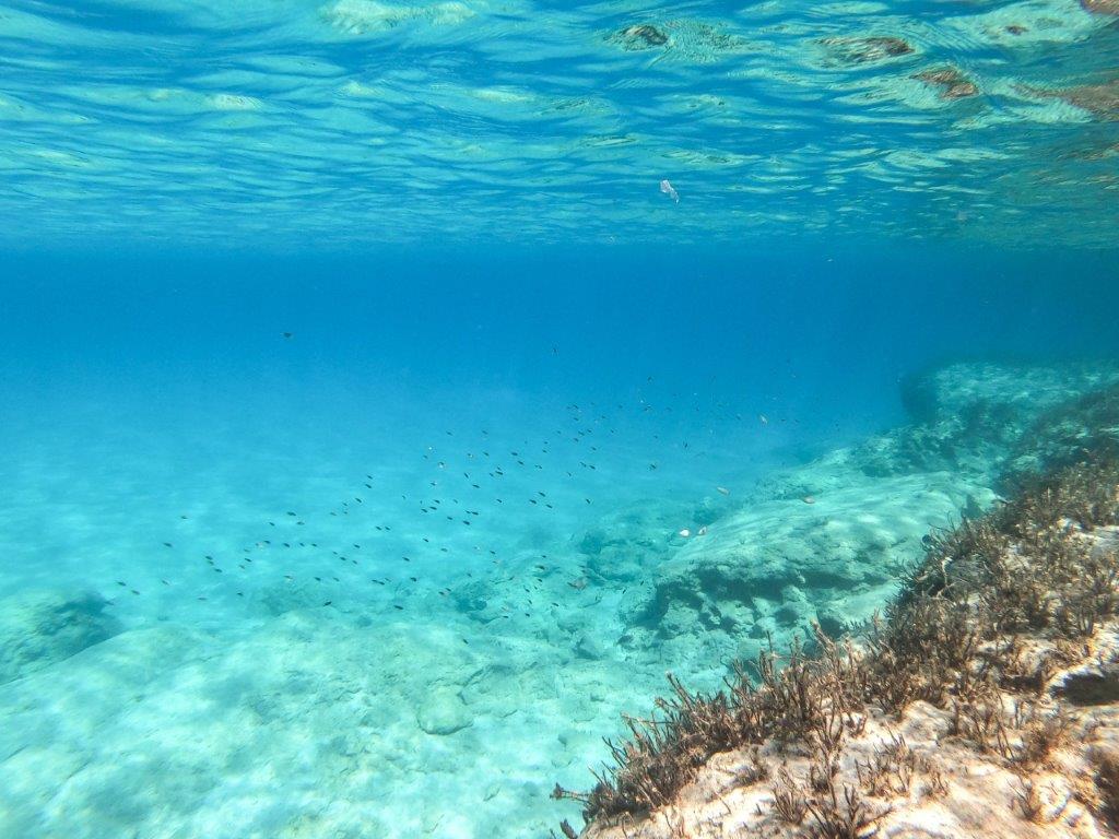 Akamas snorkelling